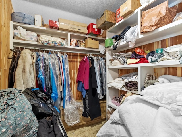 walk in closet featuring carpet floors