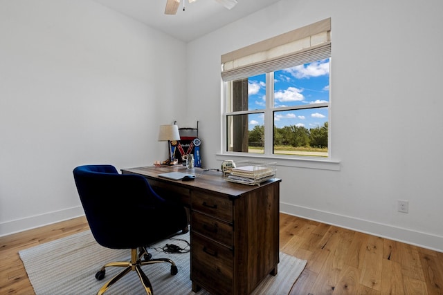 office space with ceiling fan, a healthy amount of sunlight, and light wood-type flooring