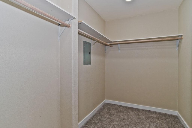 walk in closet featuring electric panel and carpet