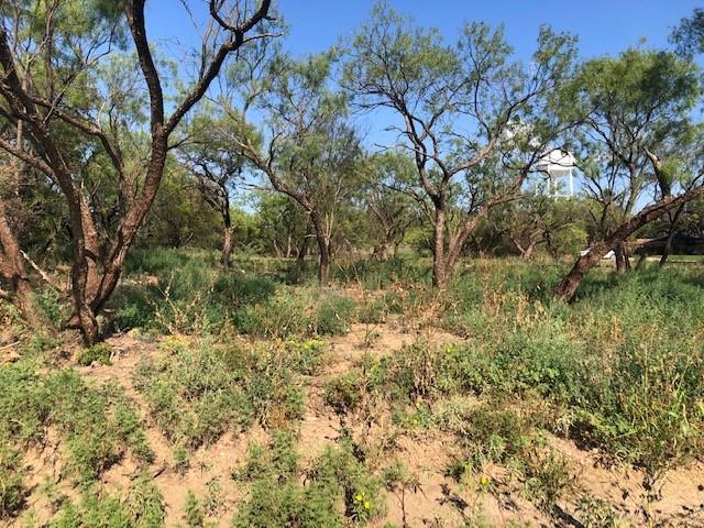 5 Griffin Rd, Albany TX, 76430 land for sale