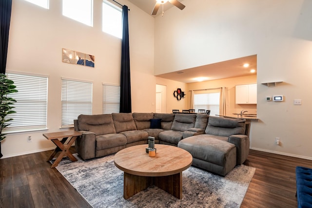 living room featuring a towering ceiling and dark hardwood / wood-style flooring