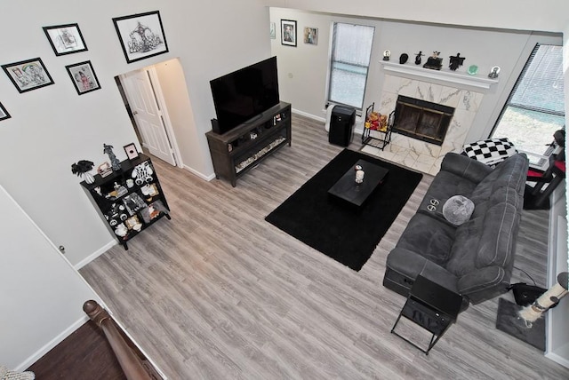 living room with a premium fireplace and light wood-type flooring