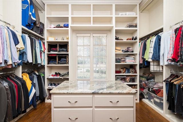 walk in closet featuring dark hardwood / wood-style floors