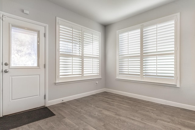 entrance foyer with hardwood / wood-style floors