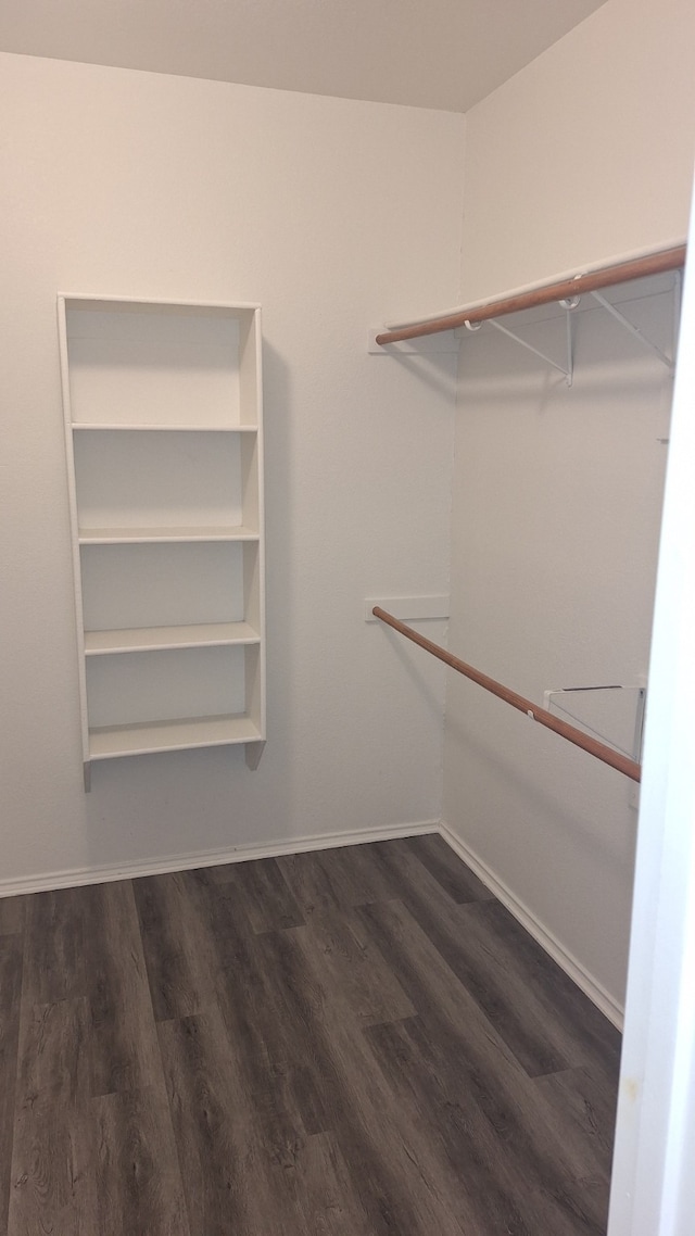 walk in closet featuring dark wood-type flooring