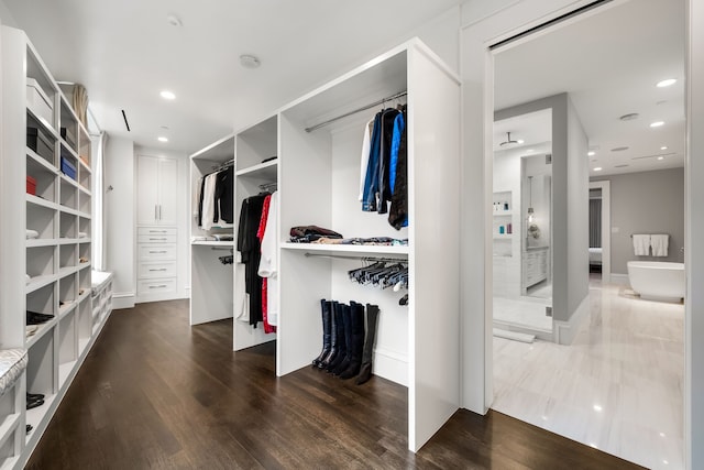 spacious closet featuring wood-type flooring