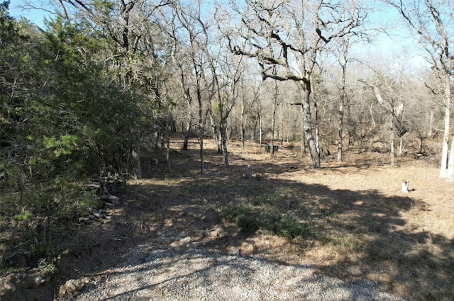 Listing photo 2 for 1251 Eagles Bluff Dr, Weatherford TX 76087