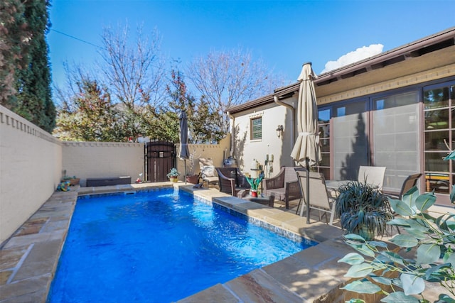 view of pool featuring a patio area