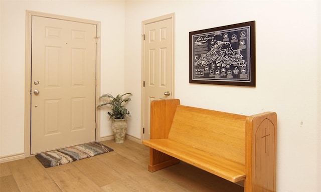 entrance foyer with wood-type flooring