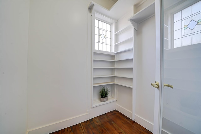 walk in closet featuring dark hardwood / wood-style flooring