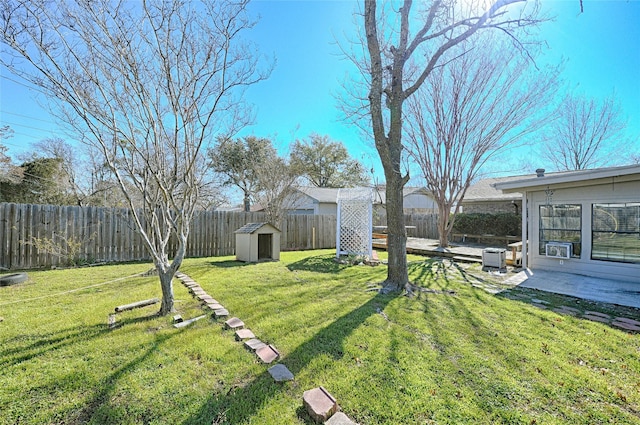 view of yard with a storage shed and a patio