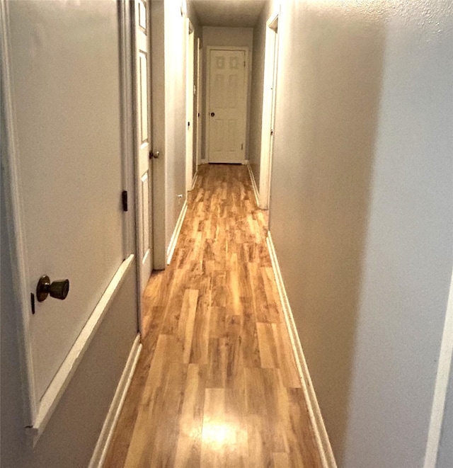 hallway with light wood-type flooring