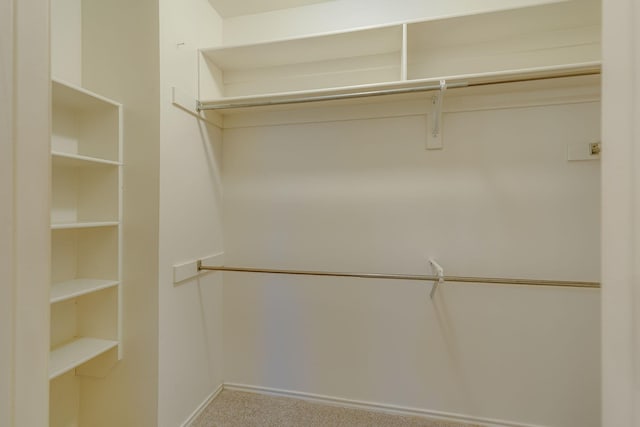 walk in closet with carpet flooring