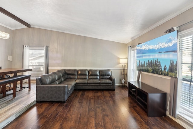 living room featuring lofted ceiling with beams, dark hardwood / wood-style floors, and a healthy amount of sunlight