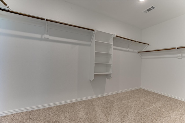 walk in closet with carpet floors