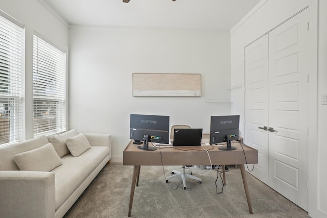 office area with carpet floors, ceiling fan, and crown molding