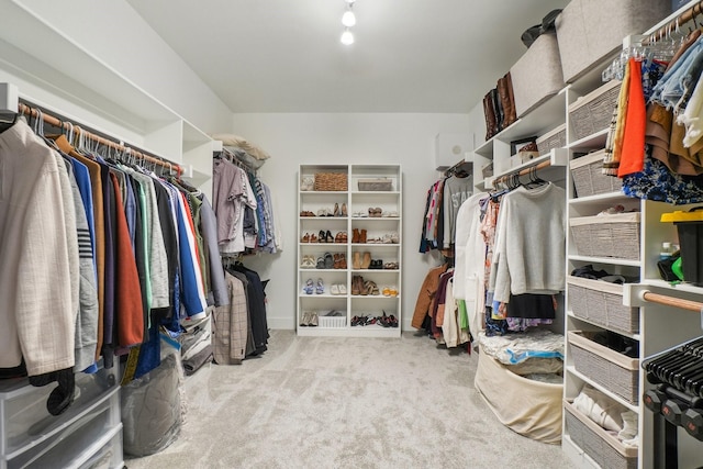 spacious closet with carpet flooring