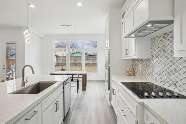3426 Borger St, Dallas, TX 75212 - kitchen featuring stainless steel appliances, a sink, premium range hood, white cabinetry, and recessed lighting