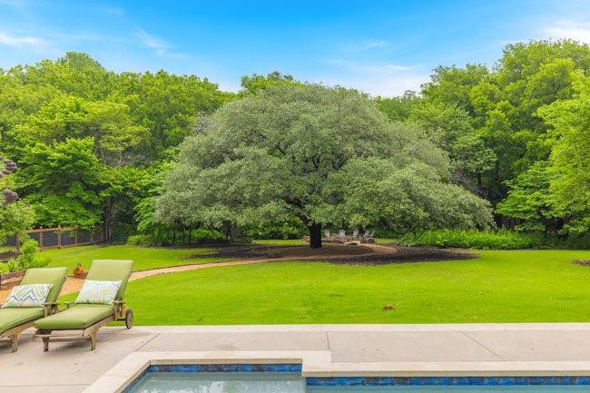 15716 Custer Trl, Frisco, TX 75035 - view of pool with a patio and a lawn