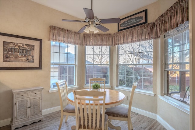 dining area featuring ceiling fan and light hardwood / wood-style flooring