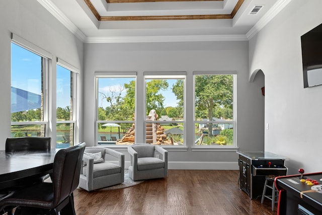 sunroom with a raised ceiling