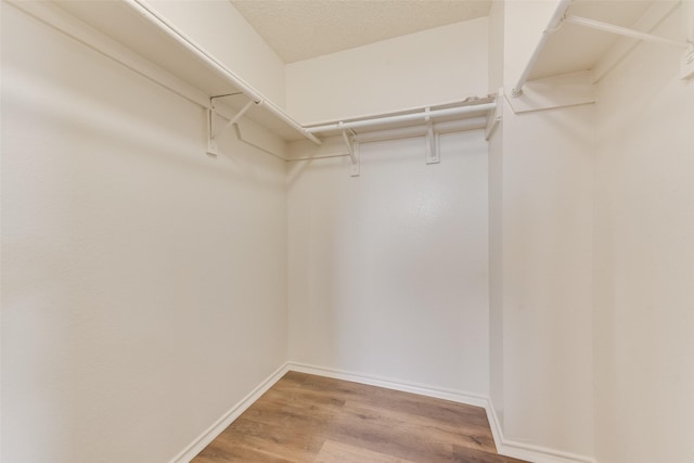 spacious closet featuring hardwood / wood-style floors