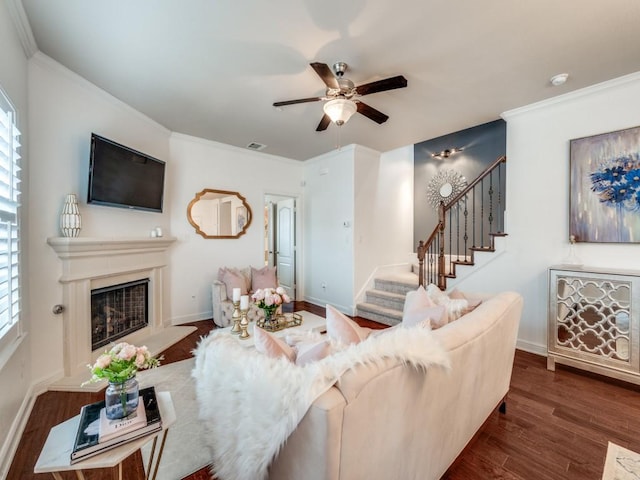 living room with crown molding, dark wood-type flooring, and ceiling fan