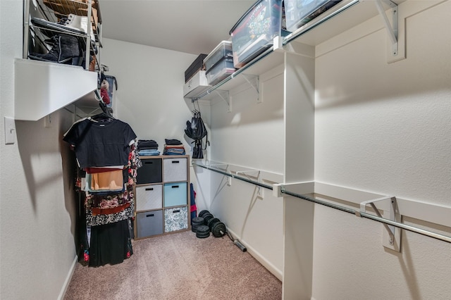 walk in closet featuring carpet floors