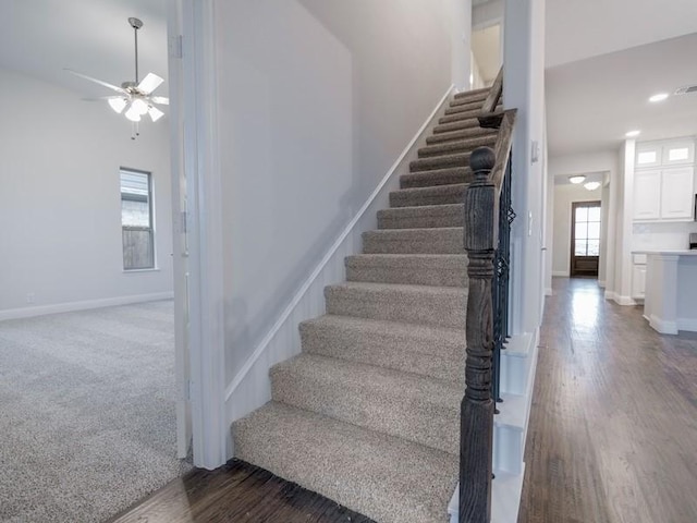 stairs with ceiling fan and carpet flooring