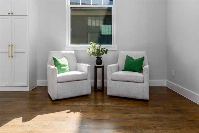 sitting room featuring dark hardwood / wood-style flooring