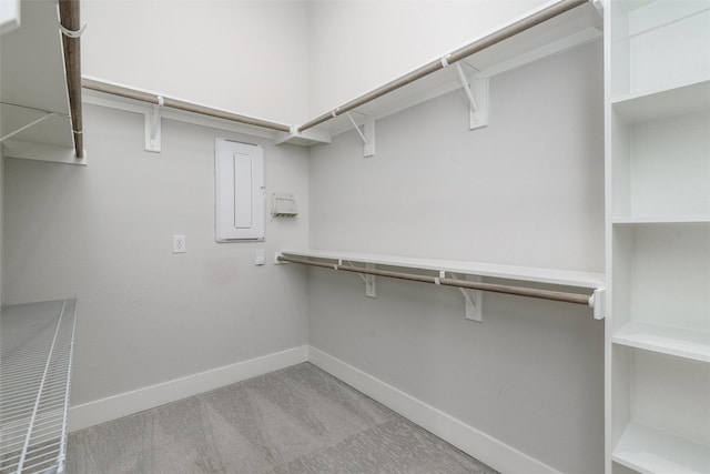 walk in closet featuring light carpet and electric panel