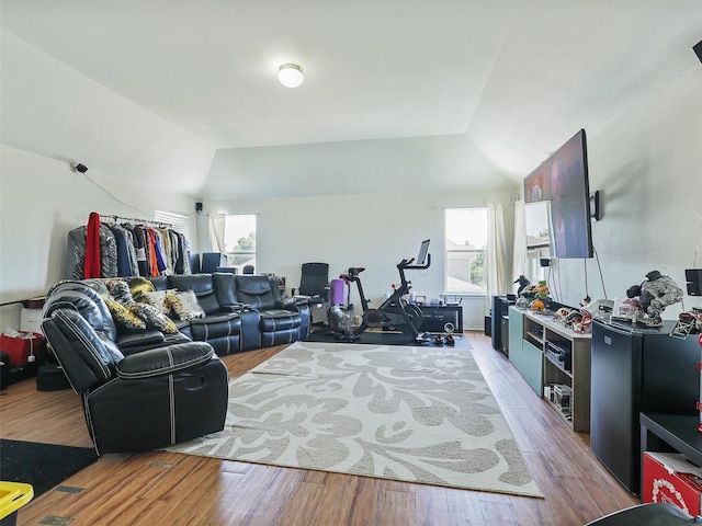 living room with lofted ceiling, a wealth of natural light, and light hardwood / wood-style floors