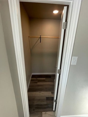 spacious closet with dark wood-type flooring