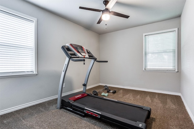 workout room featuring carpet floors and ceiling fan