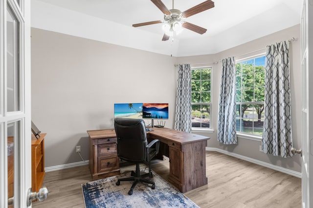 home office with a raised ceiling, ceiling fan, and light wood-type flooring