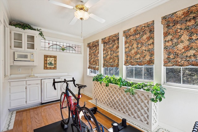 exercise room with ornamental molding, ceiling fan, and light wood-type flooring