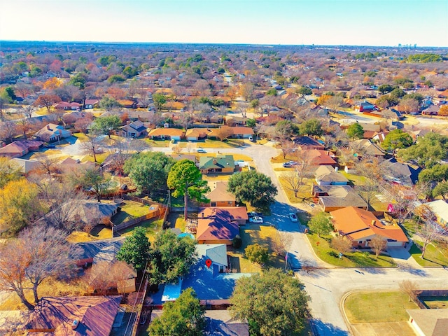 bird's eye view