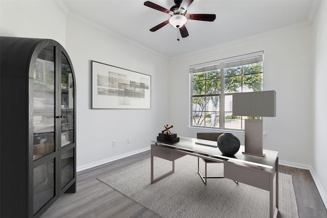 home office with hardwood / wood-style floors, crown molding, and ceiling fan