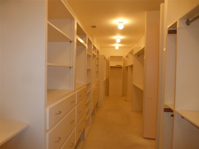 spacious closet with light colored carpet