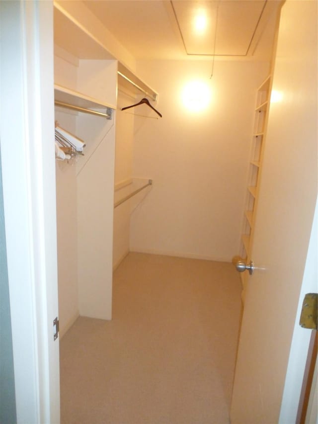 walk in closet featuring carpet floors