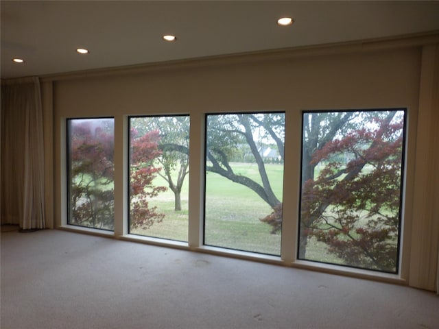 view of carpeted empty room