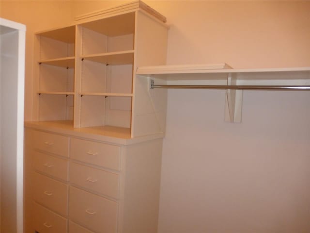 view of walk in closet