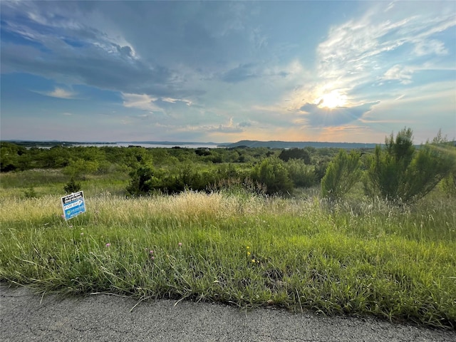 Listing photo 3 for LT1060 Cinnamon Teal, Possum Kingdom Lake TX 76449