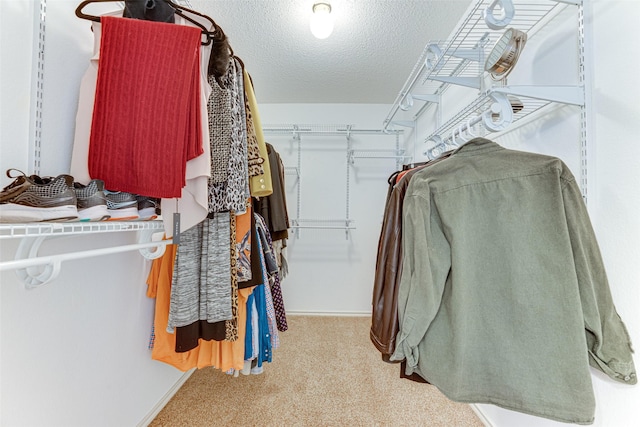 spacious closet featuring light colored carpet