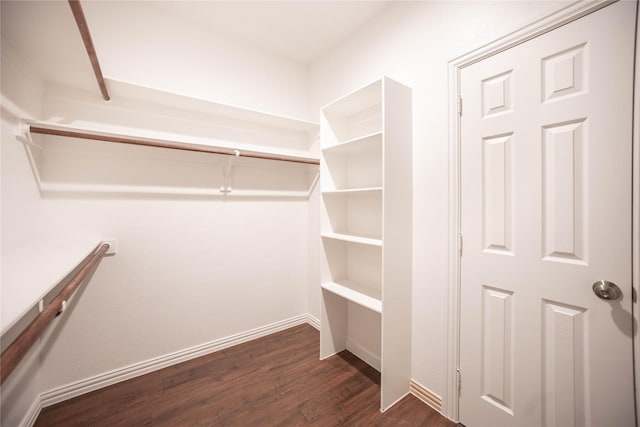 walk in closet featuring dark hardwood / wood-style flooring