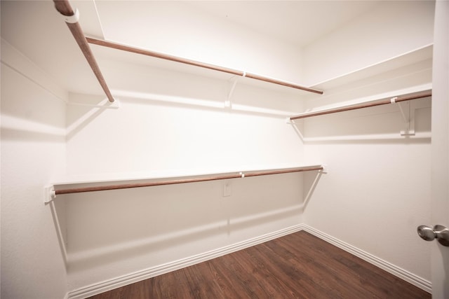 walk in closet with hardwood / wood-style flooring