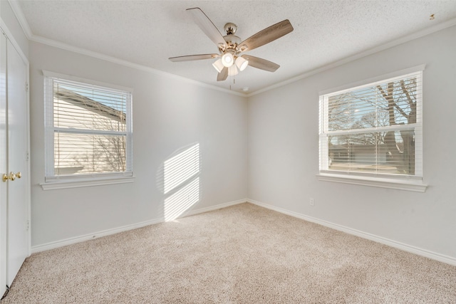 carpeted spare room featuring ceiling fan, ornamental molding, and a textured ceiling