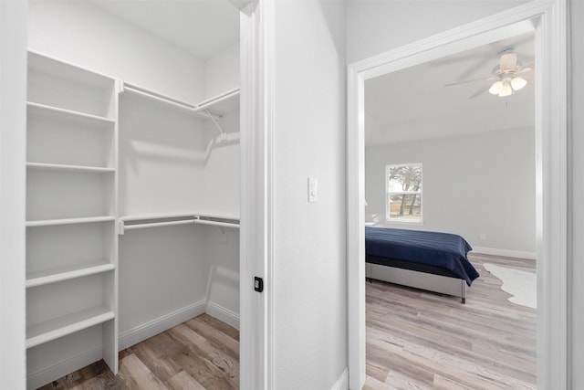 spacious closet with ceiling fan and light hardwood / wood-style floors