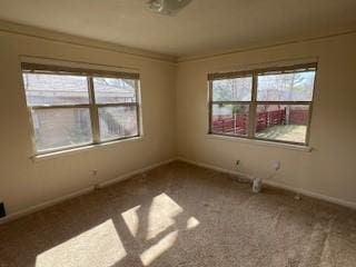 spare room featuring carpet floors