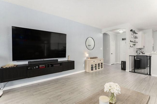 living room featuring light hardwood / wood-style floors